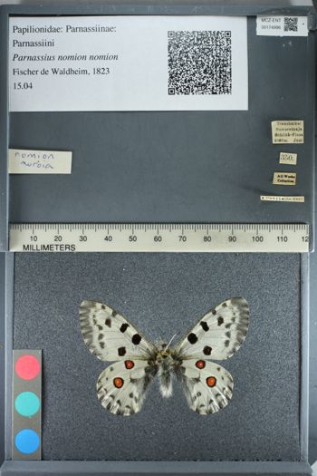 Media type: image;   Entomology 174996